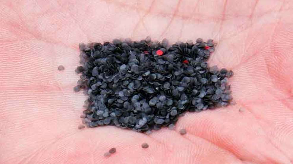 imr_red_powder_f.jpg
