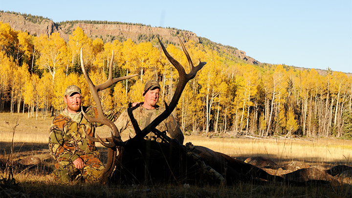 Hunters with bull elk taken in backcountry mountains