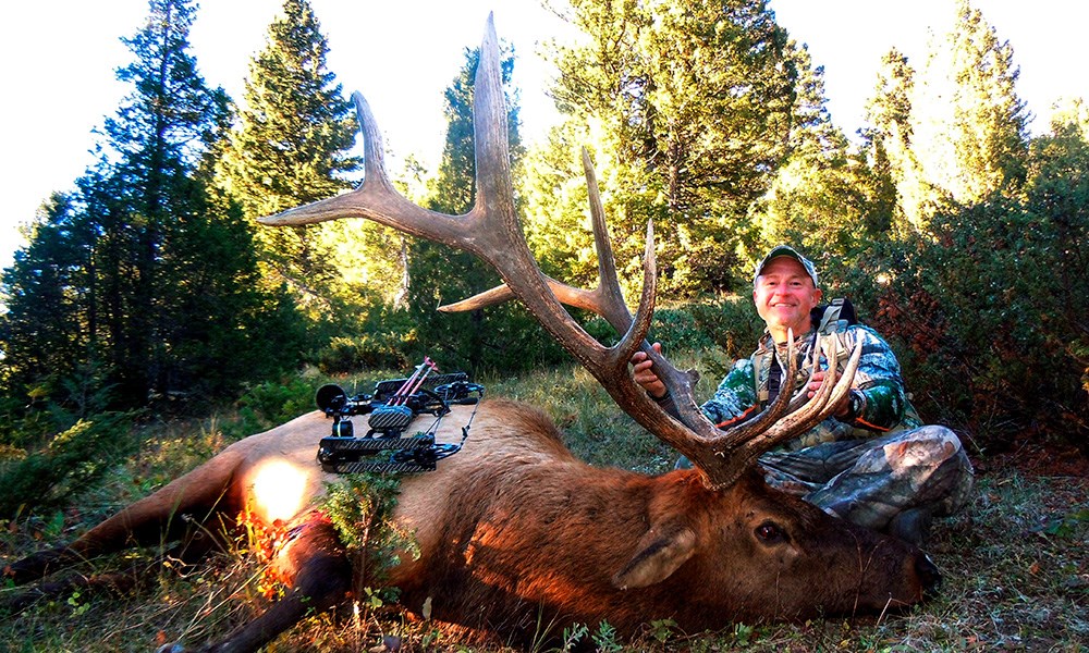 Male hunter with large bull elk taken on public land.