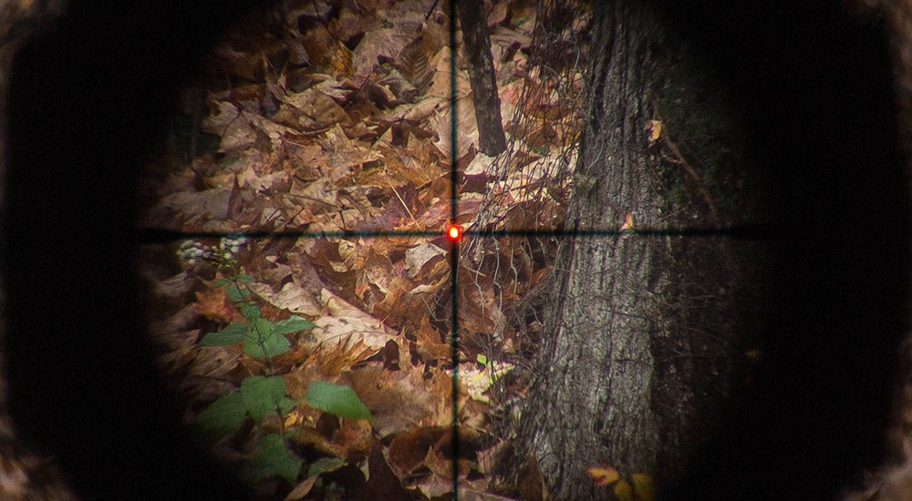 Illuminated reticle view through crosshairs on riflescope pointed at leaves on forest ground.