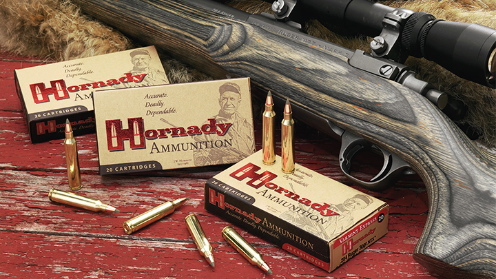 .204 Ruger Hornady Varmint Express 300-grain NTX Ammunition