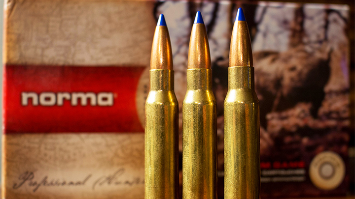 Norma 180-grain BondStrike .308 Winchester Ammunition