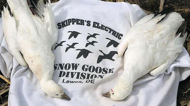 Photos: Snow Goose Madness in South Dakota | An Official Journal Of The NRA