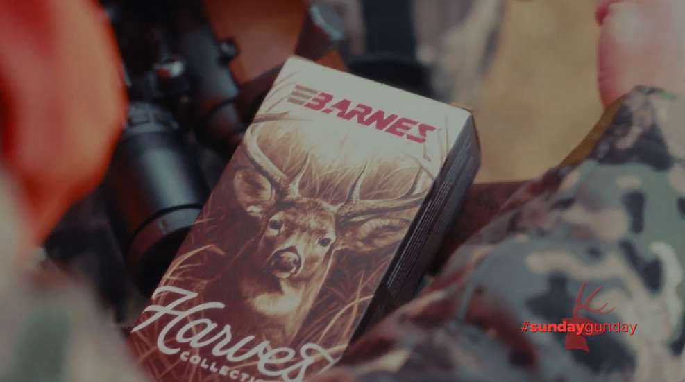 Barnes Harvest Collection Lede SG