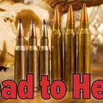 H2H 308 Win Vs 300 Win Mag Lead