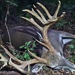 Don't Fight the Feeling: Setting up a Booner Bowhunt | An Official Journal Of The NRA