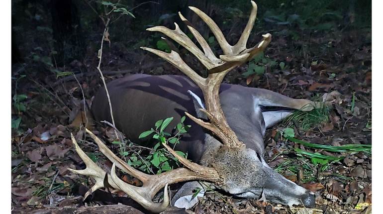 Don't Fight the Feeling: Setting up a Booner Bowhunt | An Official Journal Of The NRA