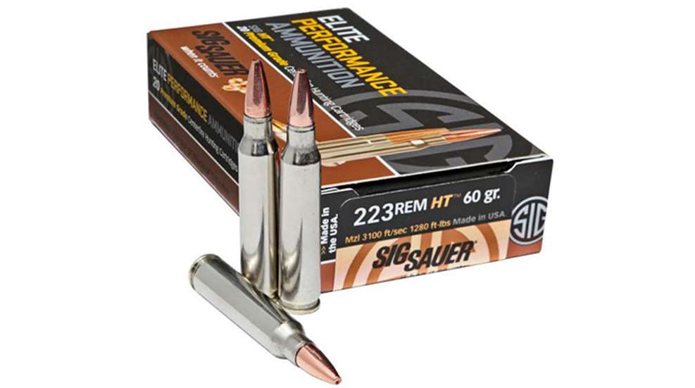 sig_sauer_223_new_f.jpg