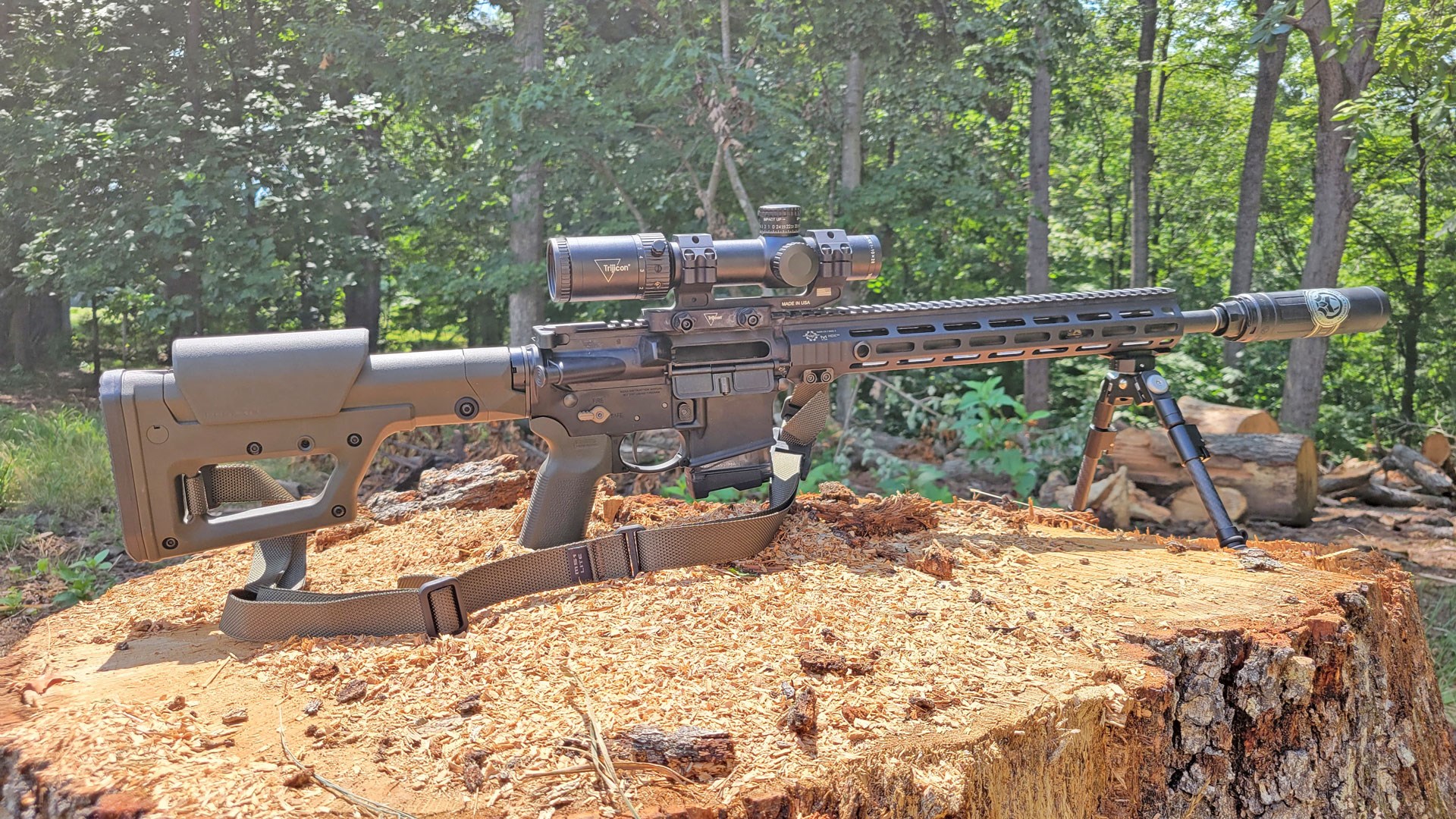 Coyote Gun Lede