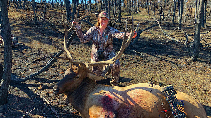 Female hunter with 6x6 elk taken with bow