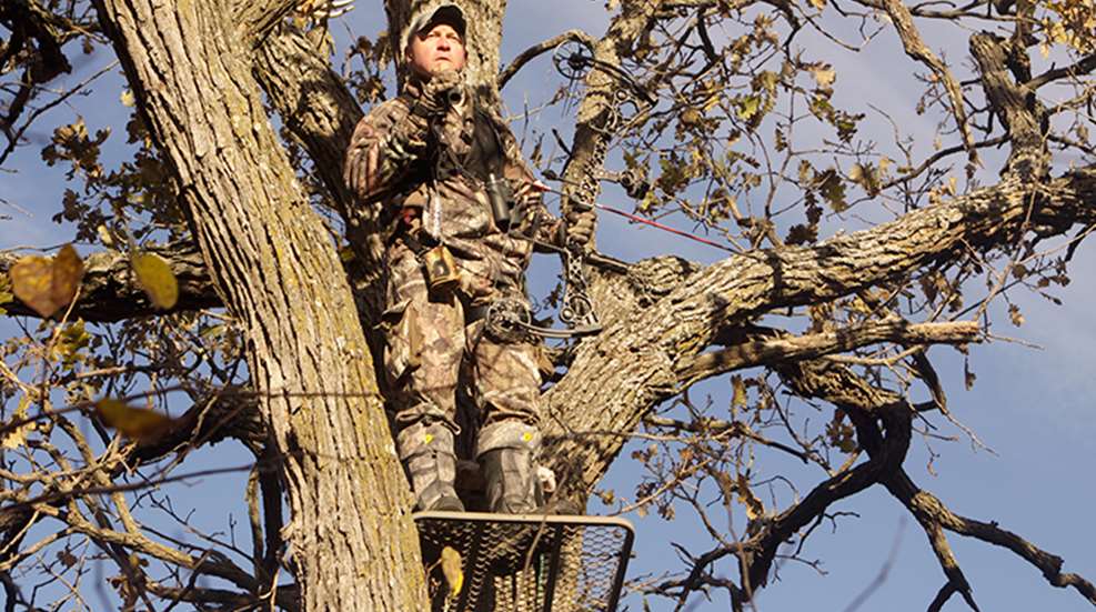 treestanddisappear_lead.jpg