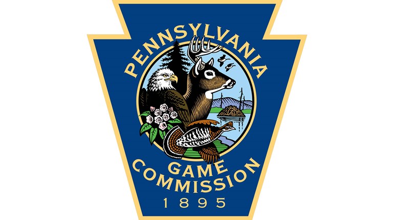 Pennsylvania Antlered Deer Harvest Best in Four Decades | An Official Journal Of The NRA