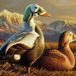 2025 Federal Duck Stamp Lede