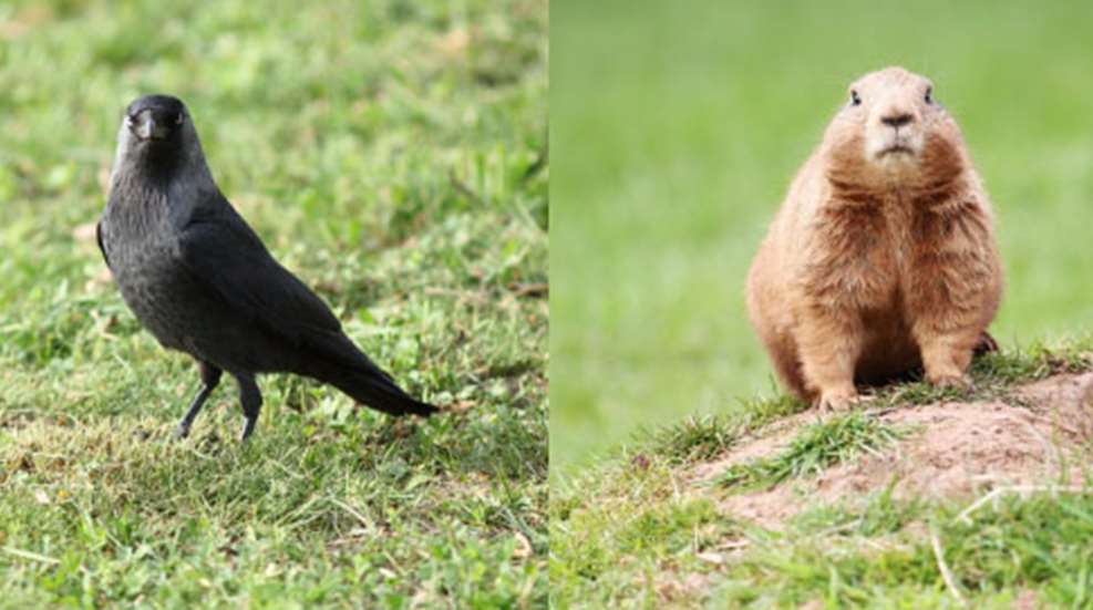 2012523115327-off_season_hunts_h.jpg