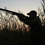 201212218296-best_shotguns_f.jpg