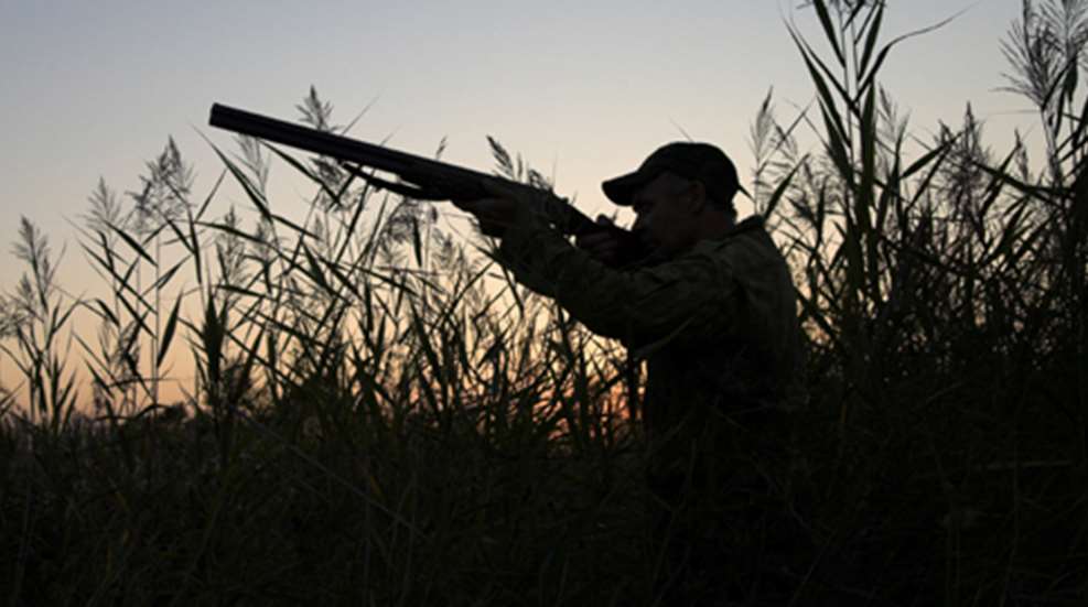 201212218296-best_shotguns_f.jpg