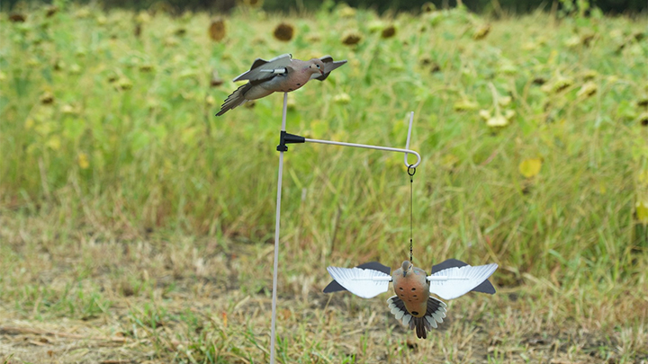 Avian-X PowerFlight Dove