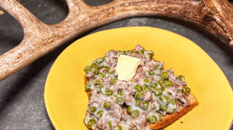 Pease And Venison Lede 2