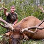 mainlacey-lupien-minnesota-bull-elk.jpg