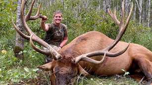 mainlacey-lupien-minnesota-bull-elk.jpg