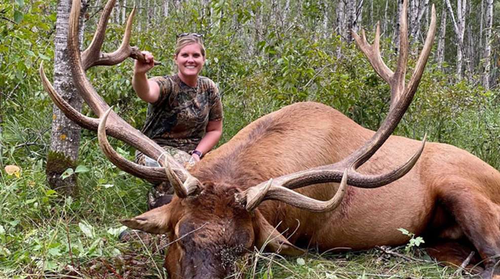 mainlacey-lupien-minnesota-bull-elk.jpg