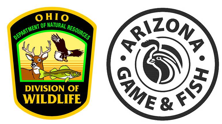 Bowhunting Increases in Ohio, but a New Restriction Comes to Arizona | An Official Journal Of The NRA