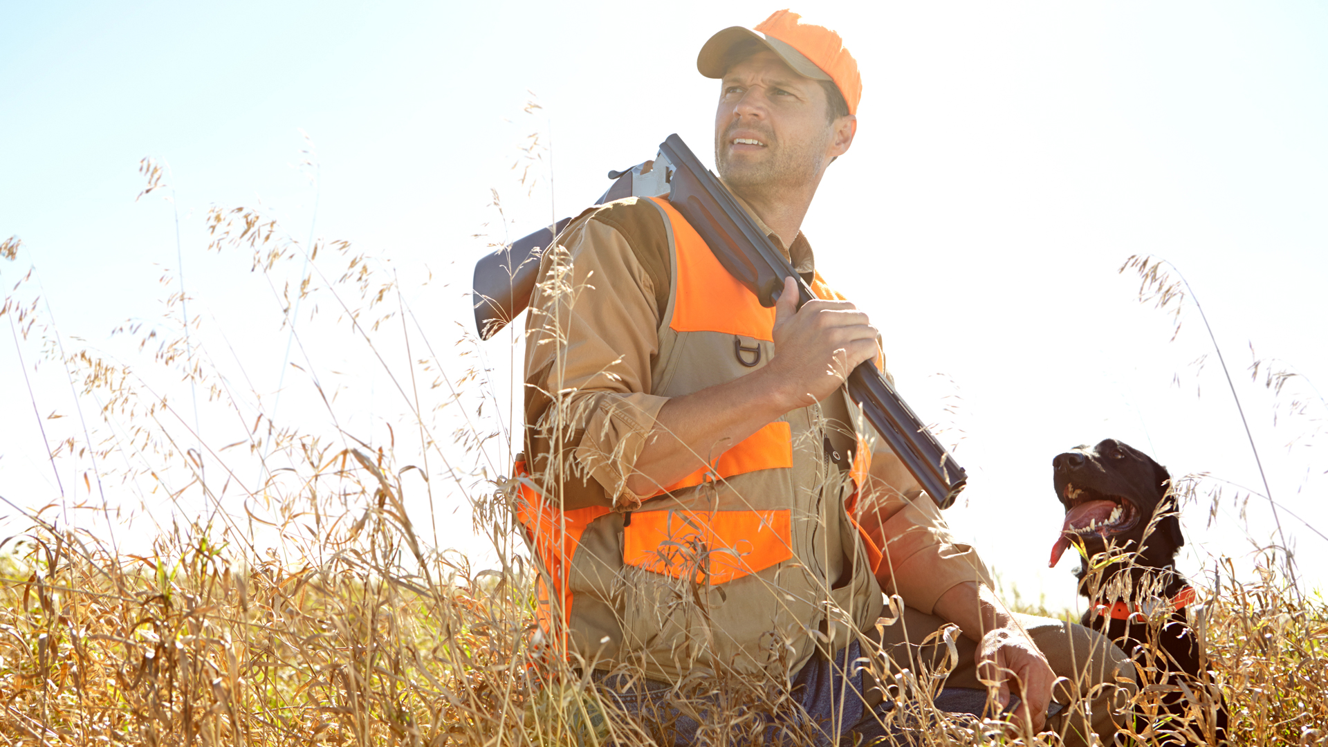 Man Hunting With His Dog In Tall Grass 2026 09 24 14 46 51 Utc