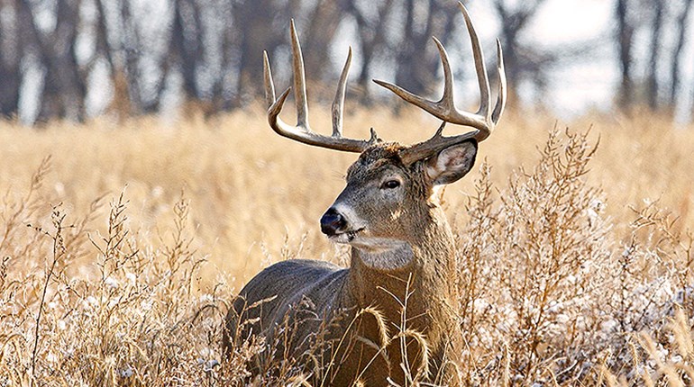 Make the Most of October Cold Fronts | An Official Journal Of The NRA