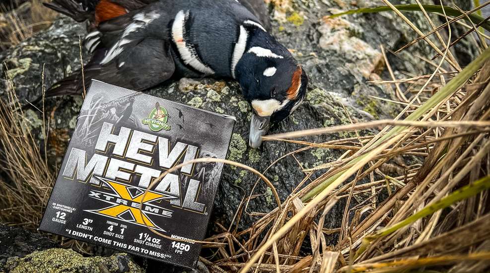 HEVI Shot HEVI Metal Xtreme Lead
