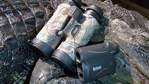 fl_gator_hunt_bushnell_f.jpg