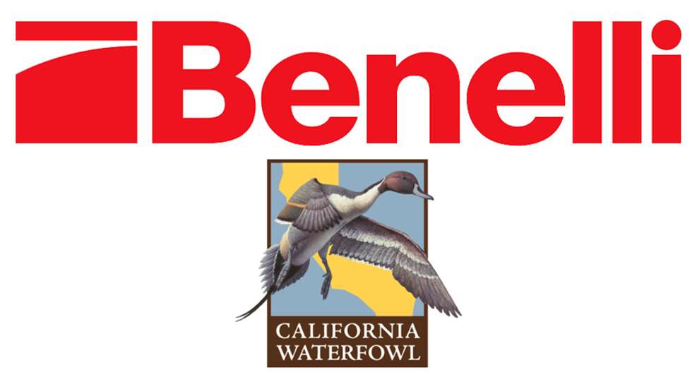 Benelli And CWA Logos