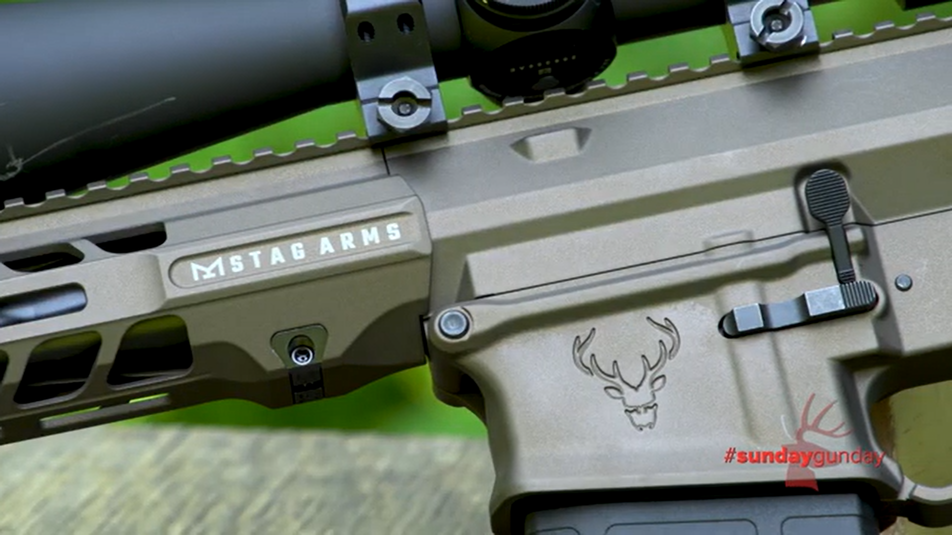 Stag 10 Pursuit Closeup