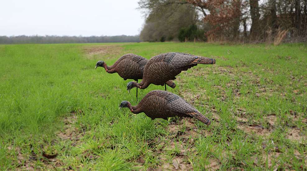 MAIN Mojo 3 In 1 Hen Turkey
