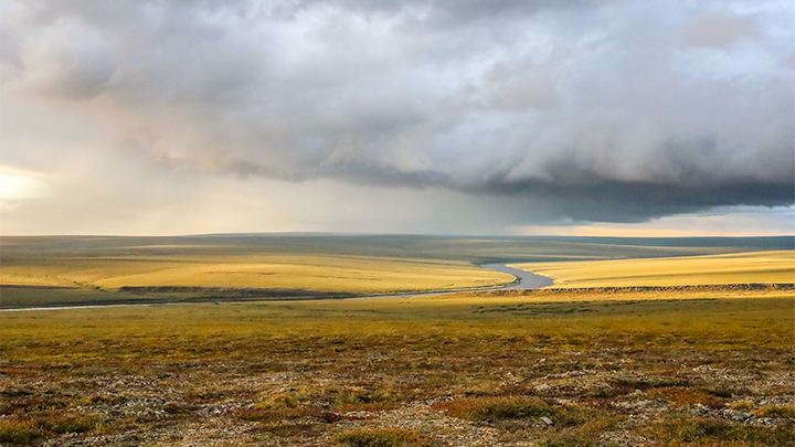 Alaska Landscape