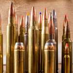 Top 10 Magnum Big Game Cartridges Lead