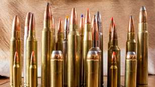 Top 10 Magnum Big Game Cartridges Lead