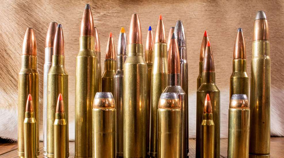 Top 10 Magnum Big Game Cartridges Lead