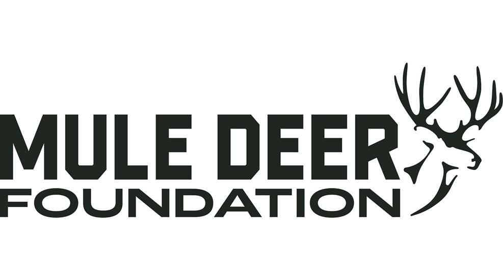 Ledemule Deer