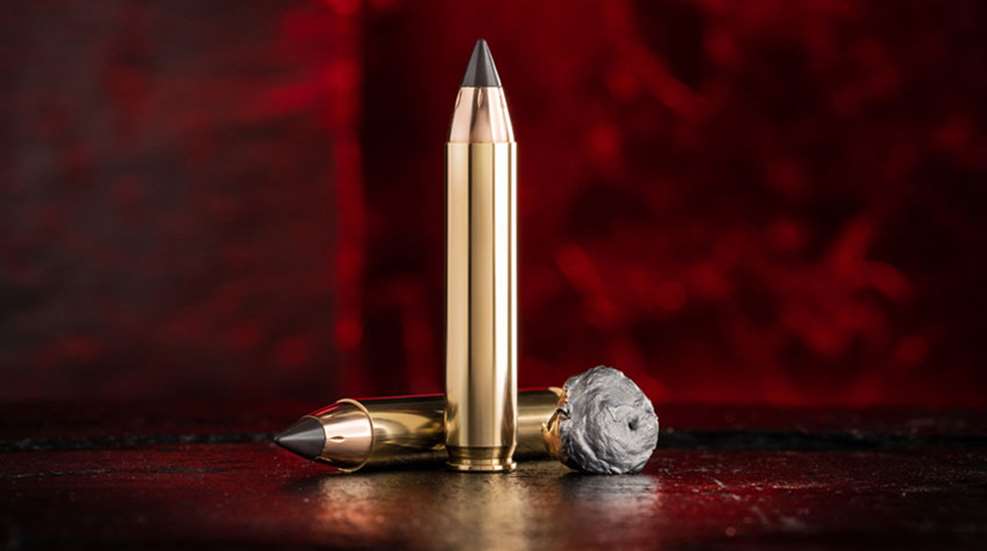 winchester350legend_lead.jpg