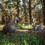 Tips & Tactics: Hone Your Tiny-Tract Turkey Skills | An Official Journal Of The NRA