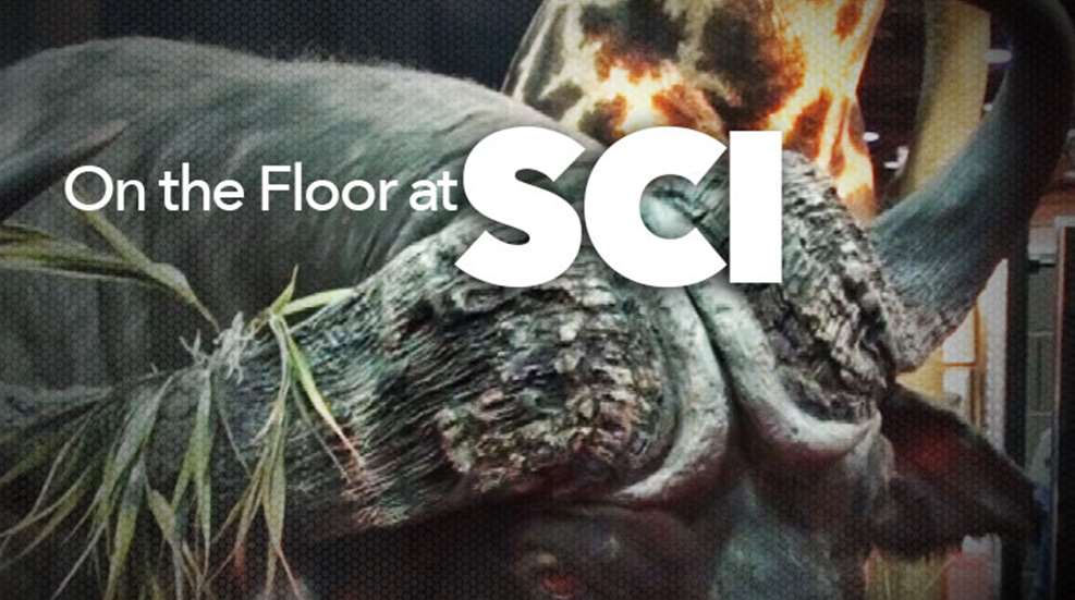 sci_ah2015_fs.jpg (18)