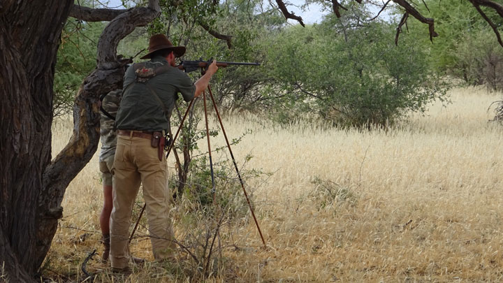 Professional hunter guiding a shot of sticks