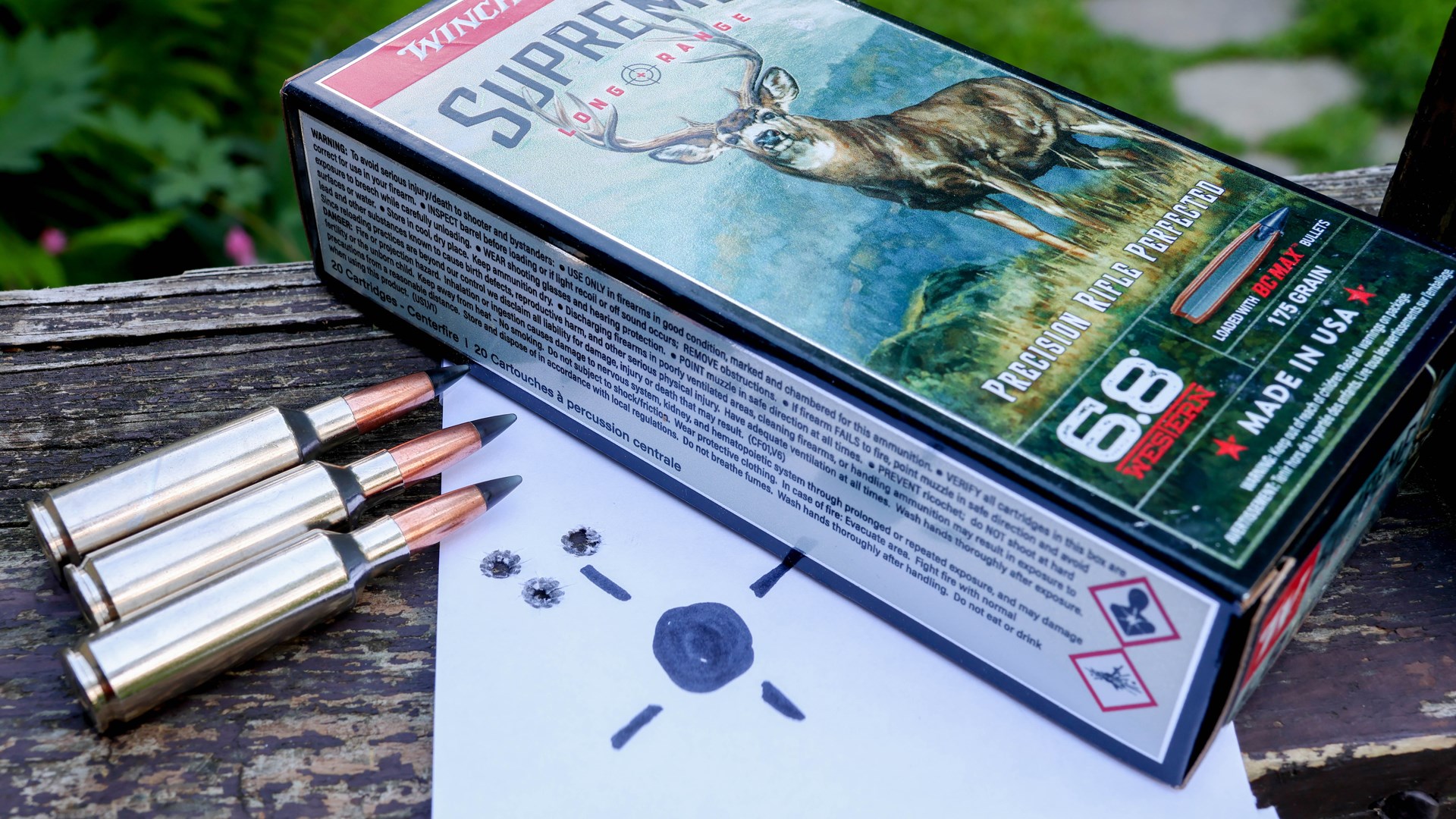 6.8 Western on Target