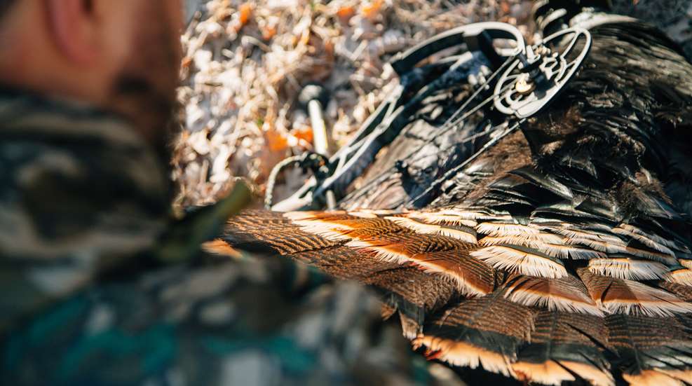 bowhuntingturkeys_lead.jpg