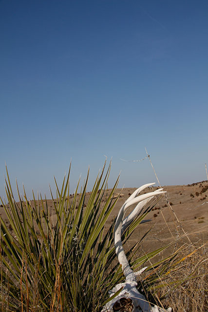 The Badlands