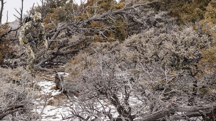 Valo camouflage in the field, in late-fall brush with light snow