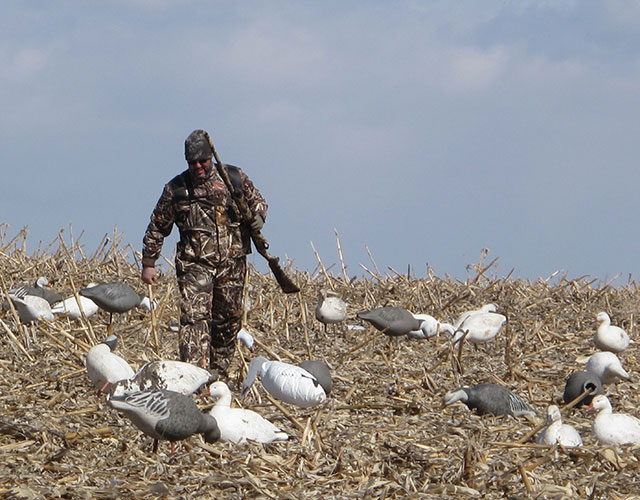 The Fields of South Dakota