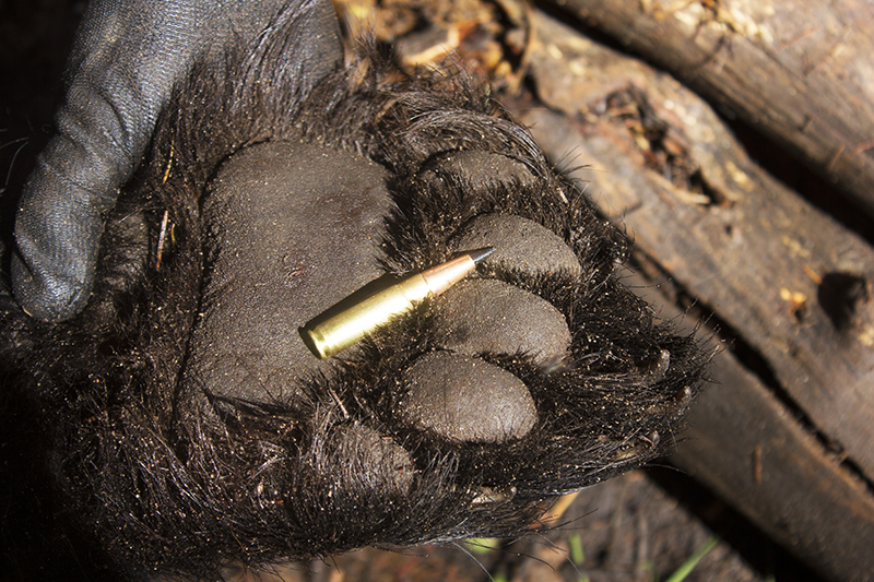 Barnes 120-Grain Bullet