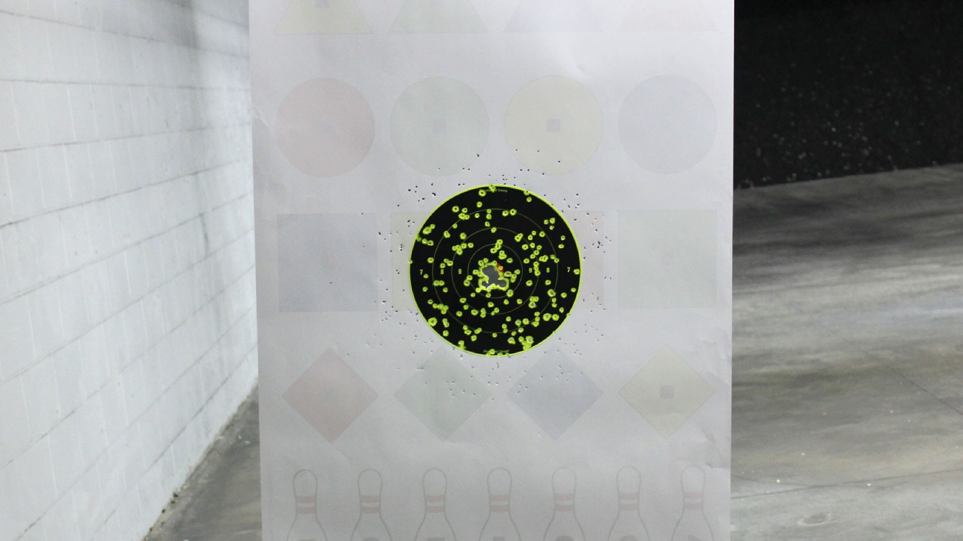 Shot target