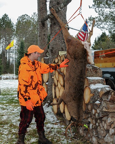 Male hunter admiring whitetail buck hanging from buck pole.